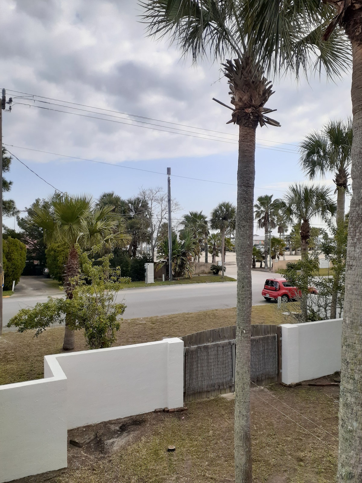 Photo 25 of Casa Coquina ~ Walk to Downtown ~ CLEAN, QUIET, SPACIOUS, HUGE PRIVATE YARD