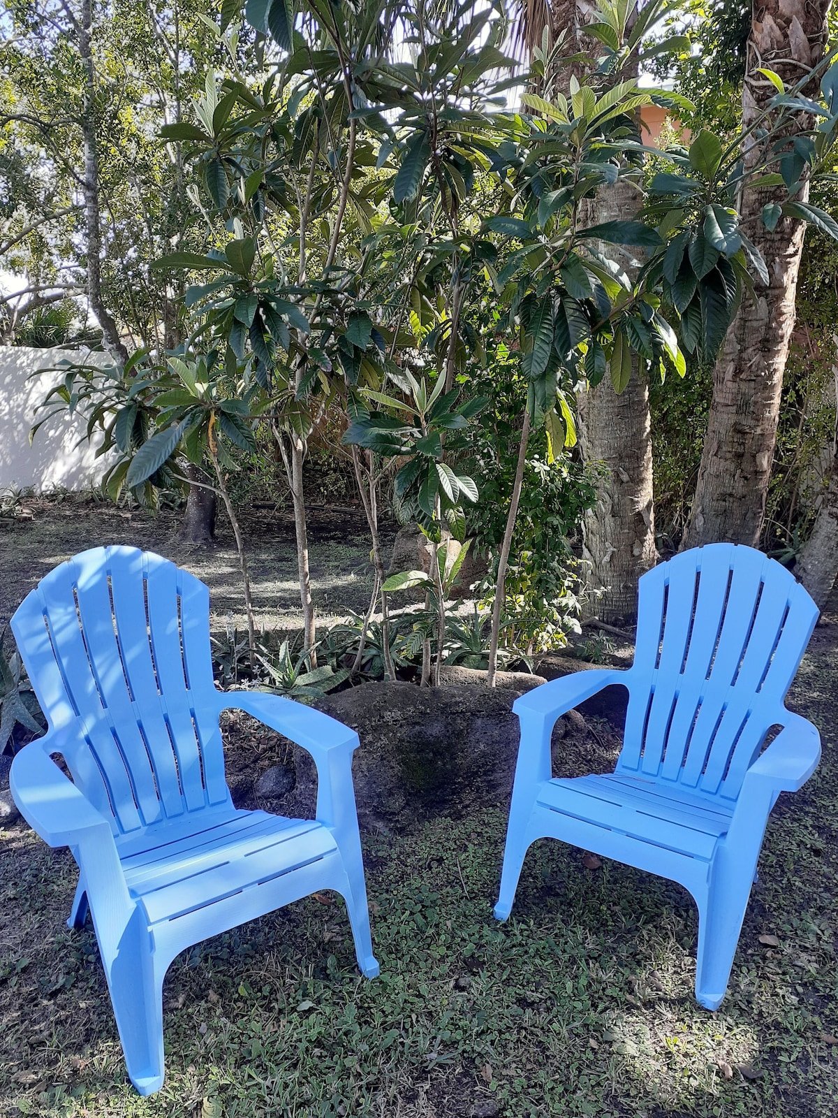 Photo 30 of Casa Coquina ~ Walk to Downtown ~ CLEAN, QUIET, SPACIOUS, HUGE PRIVATE YARD