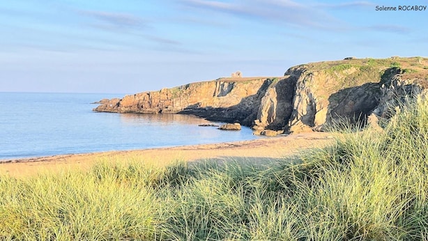 Un paysage côtier avec des falaises et une plage.
