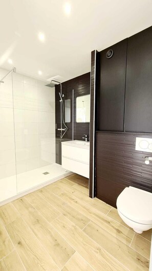 Shower, hair dryer, toilet paper