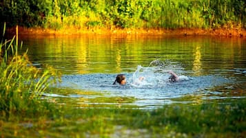 A person swimming in a body of water surrounded by greenery.