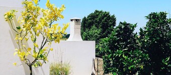 Funky cottage for 2, patio, garden, mountainview. Coast 14 km. Rota Vicentina.