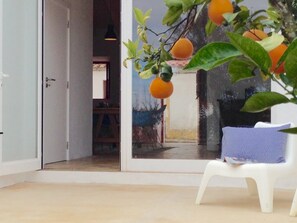 テラス / パティオ