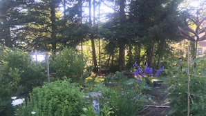 En trädgård med olika växter och blommor, inklusive lila blommor och vita prästkragar.