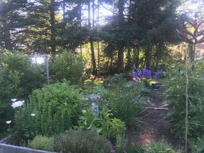 Property grounds - Three Schooners, an oasis just steps from downtown Boothbay Harbor (Boothbay Harbor)
