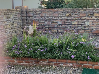 Sunny Yuma Vacation House