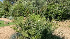 Ein angelegter Garten mit verschiedenen Pflanzen und einem Felsenkunstwerk.