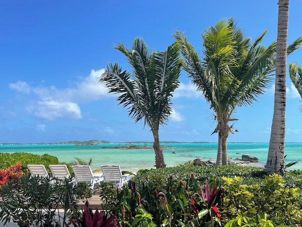 On the beach, sun loungers, beach towels - Exuma Sol - Stunning Views from this Oceanfront Beach Cottage (George Town)