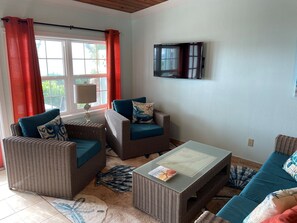 Flat-screen TV, ping pong, books