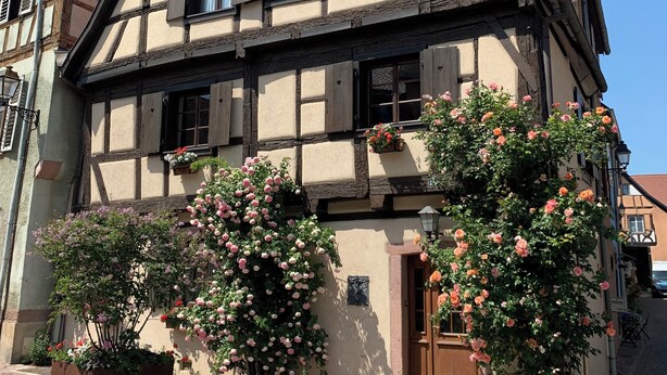 A traditional half-timbered house with a steeply pitched roof, multiple windows, and a small door. - ALSACE COSY GITE 3 BEDROOMS 2 BATHROOMS (BUHL)