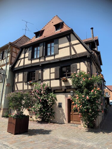 ALSACE COSY GITE 3 BEDROOMS 2 BATHROOMS