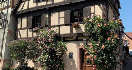ALSACE COSY GITE 3 BEDROOMS 2 BATHROOMS
