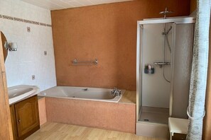 Bathtub, hair dryer, toilet paper