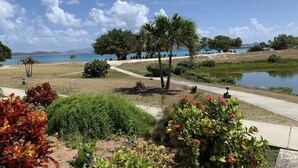 A landscaped garden with palm trees, a pathway, and a body of water.