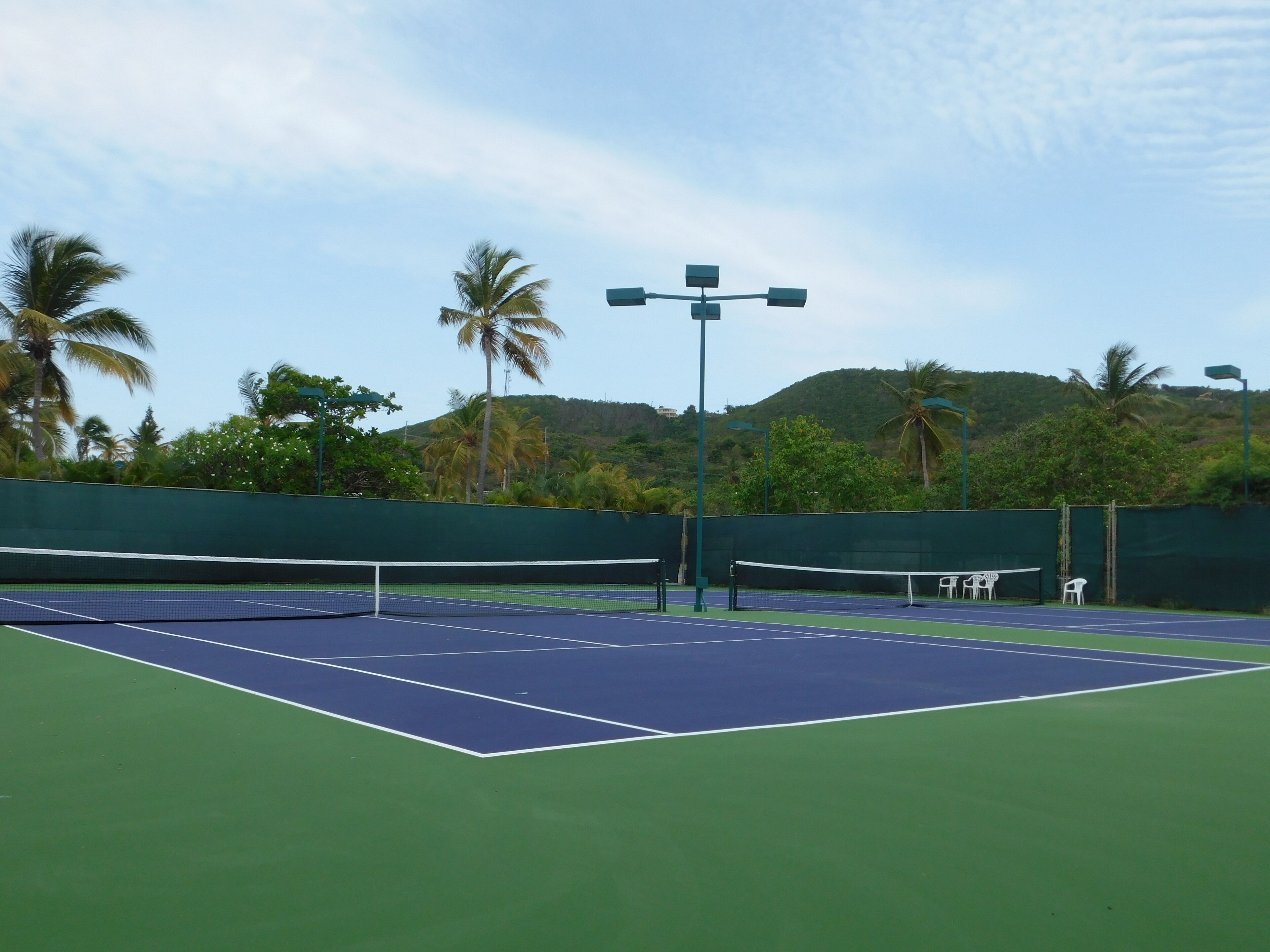 Un court de tennis avec un filet, entouré d’une clôture verte et de palmiers.