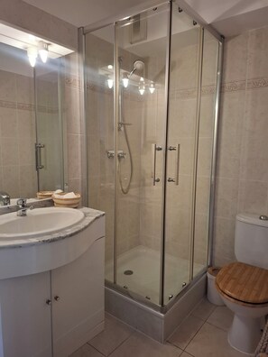 Hair dryer, towels, soap, toilet paper