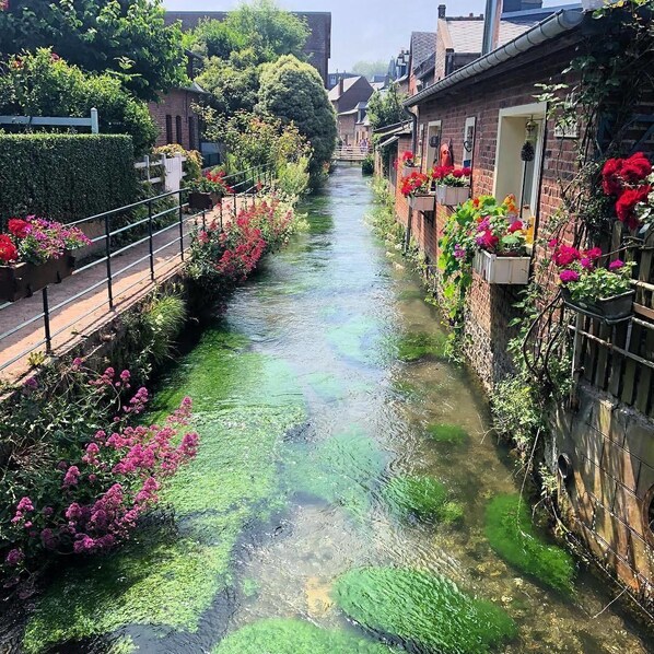 Ein schmaler Kanal, der von Backsteingebäuden mit Blumenkästen und Grünpflanzen gesäumt wird.