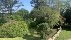 A garden with a stone wall, various trees, and a clear sky.