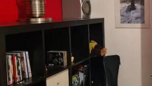 A room with a red wall, a black bookshelf with various items, a guitar, and a framed picture on the wall. - ⭐✅ Studio privée-Rennes, 5mn de la gare-parking👍✅ (Rennes)