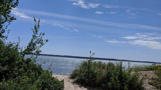 Een zandpad langs het strand dat naar een waterlichaam leidt, omgeven door groen.