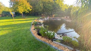 A garden with a pond, surrounded by grass and various plants.
