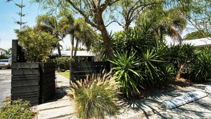 A residential area with a paved driveway, a wooden fence, and various tropical plants.
