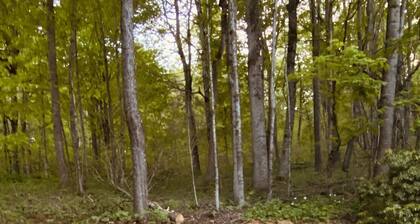 Walking distance to downtown/beautiful mountain views.