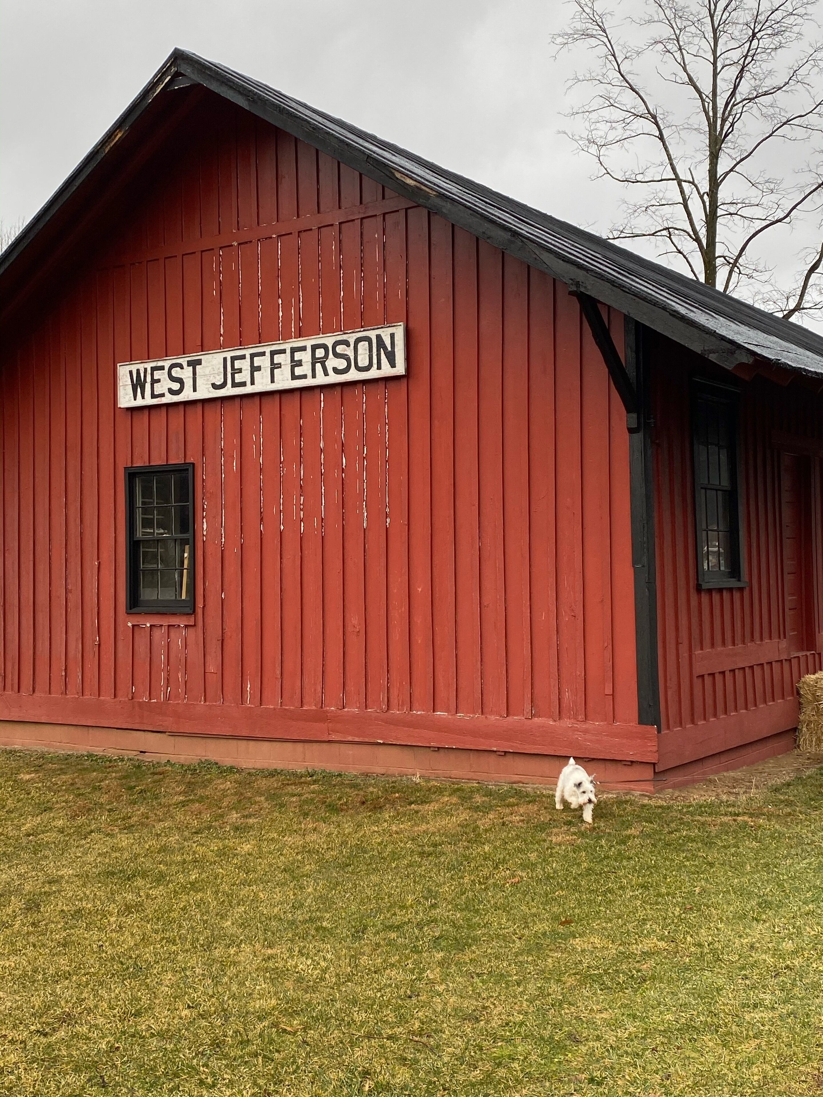 Une grange rouge avec une enseigne indiquant « WEST JEFFERSON » et un petit chien au premier plan.