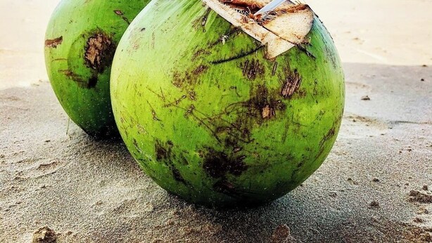 Two green coconuts with straws on a sandy beach with a clear sky in the background. - Stay here! Stay here! 2/4 furnished apartment in Costa Azul :-) (salvador)