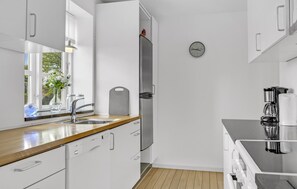 Fridge, microwave, stovetop, dishwasher