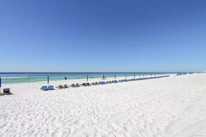 Playa en los alrededores