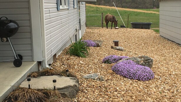 A house with a gravel driveway, a horse in the background, and a barbecue grill on the porch.