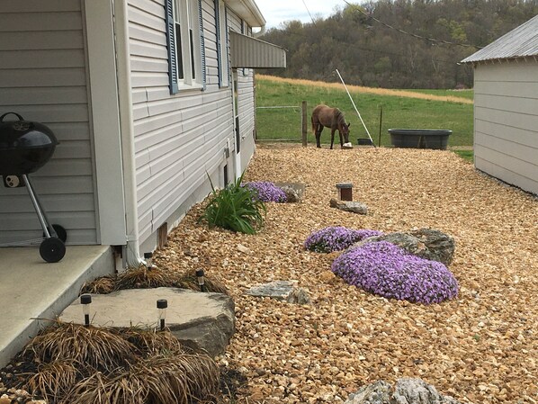 Enceinte de l’hébergement