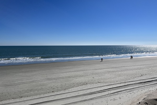 A la platja, gandules de platja i tovalloles de platja