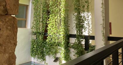 Apartment in Casa de Campo Golf Resort.