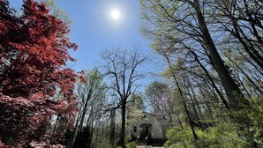 Een chalet in een bos met een heldere lucht en zonlicht.