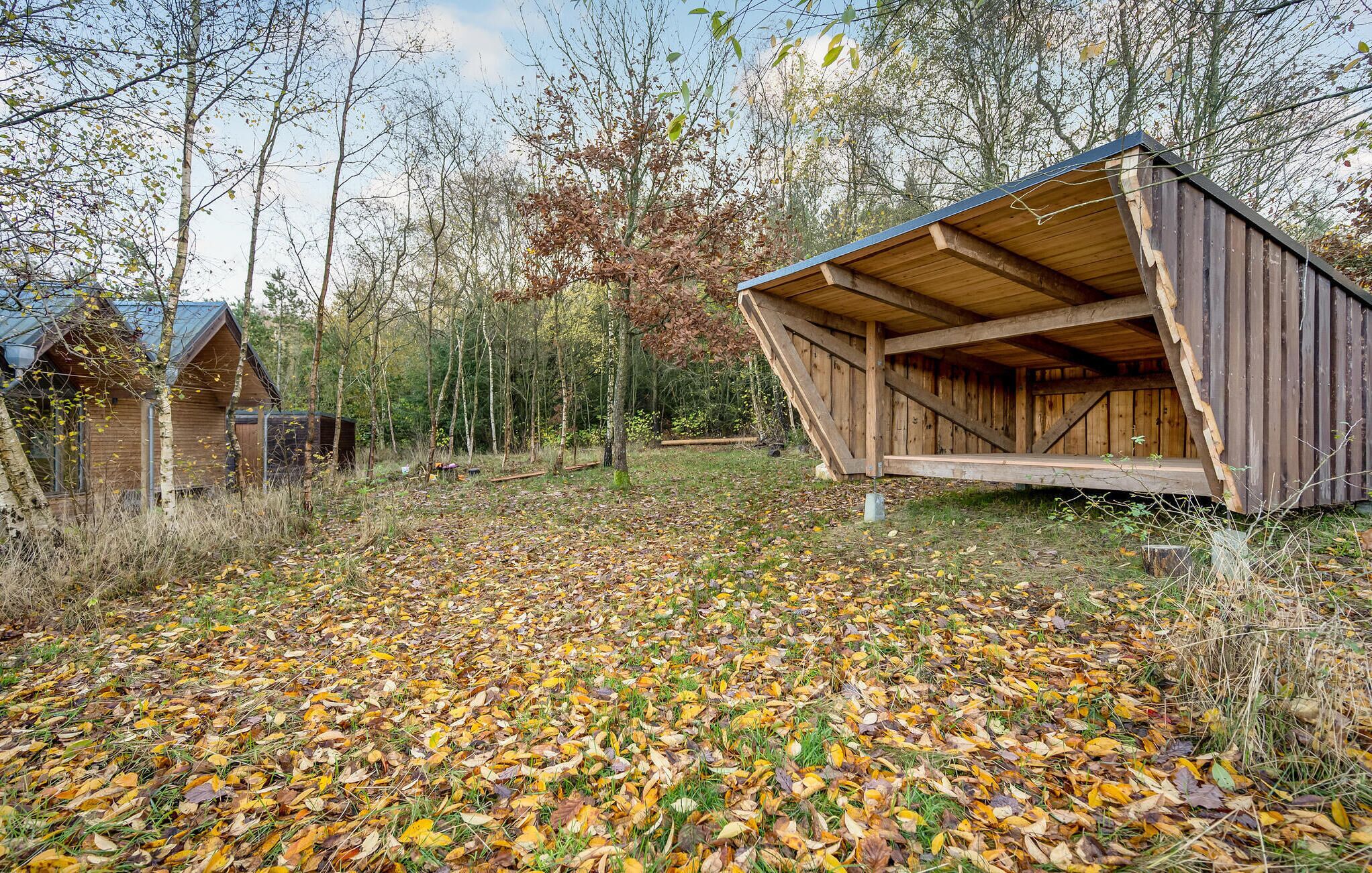 Een rustieke houten hut met schuin dak, omringd door een bos met herfstbladeren op de grond.