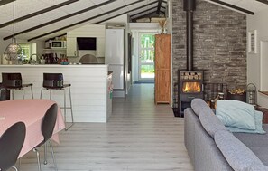 TV, fireplace - 2 bedroom amazing home in Hadsund (Hadsund)