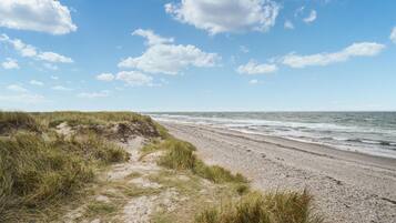 Vlak bij het strand, vissen