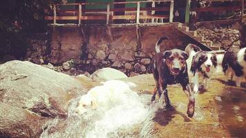 Terrein van de accommodatie