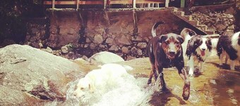 Rancho São Carlos: Linda Casa em Sítio Belíssimo