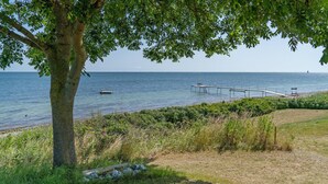 Un paysage côtier avec un arbre, une zone herbeuse et une jetée qui s’avance dans l’eau.