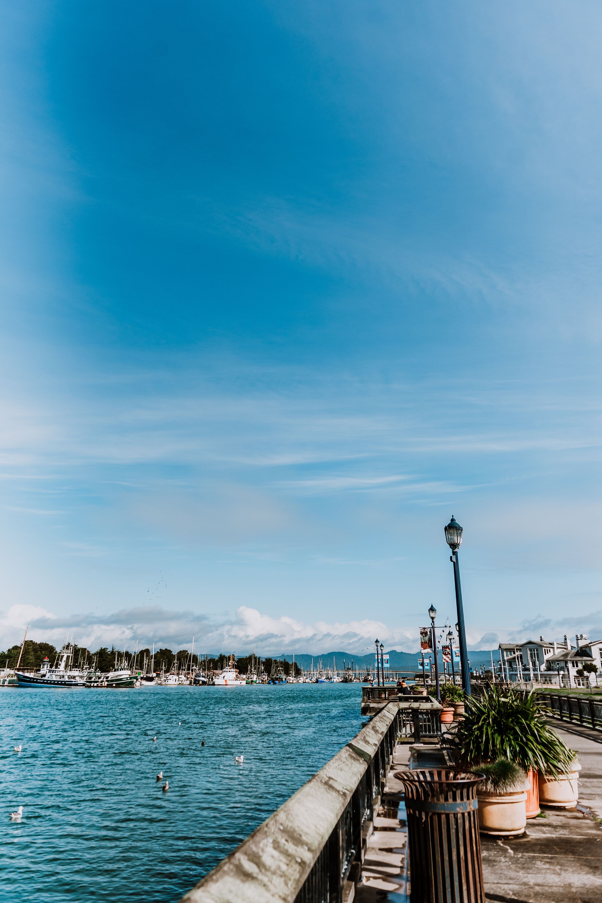 Une promenade en bord de mer, agrémentée d’une rambarde en béton, de plantes en pot et d’un lampadaire.