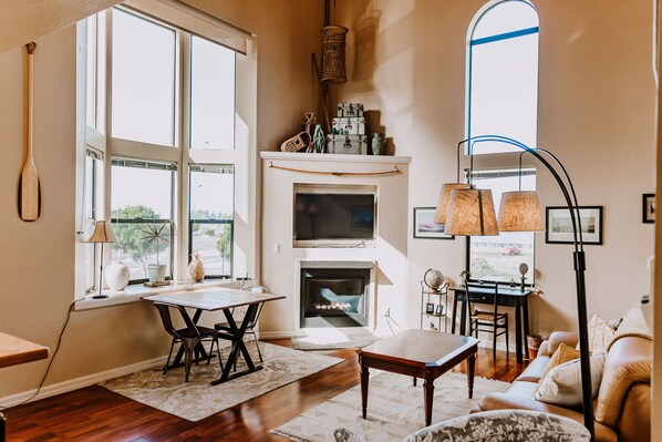 Smart TV, fireplace, books