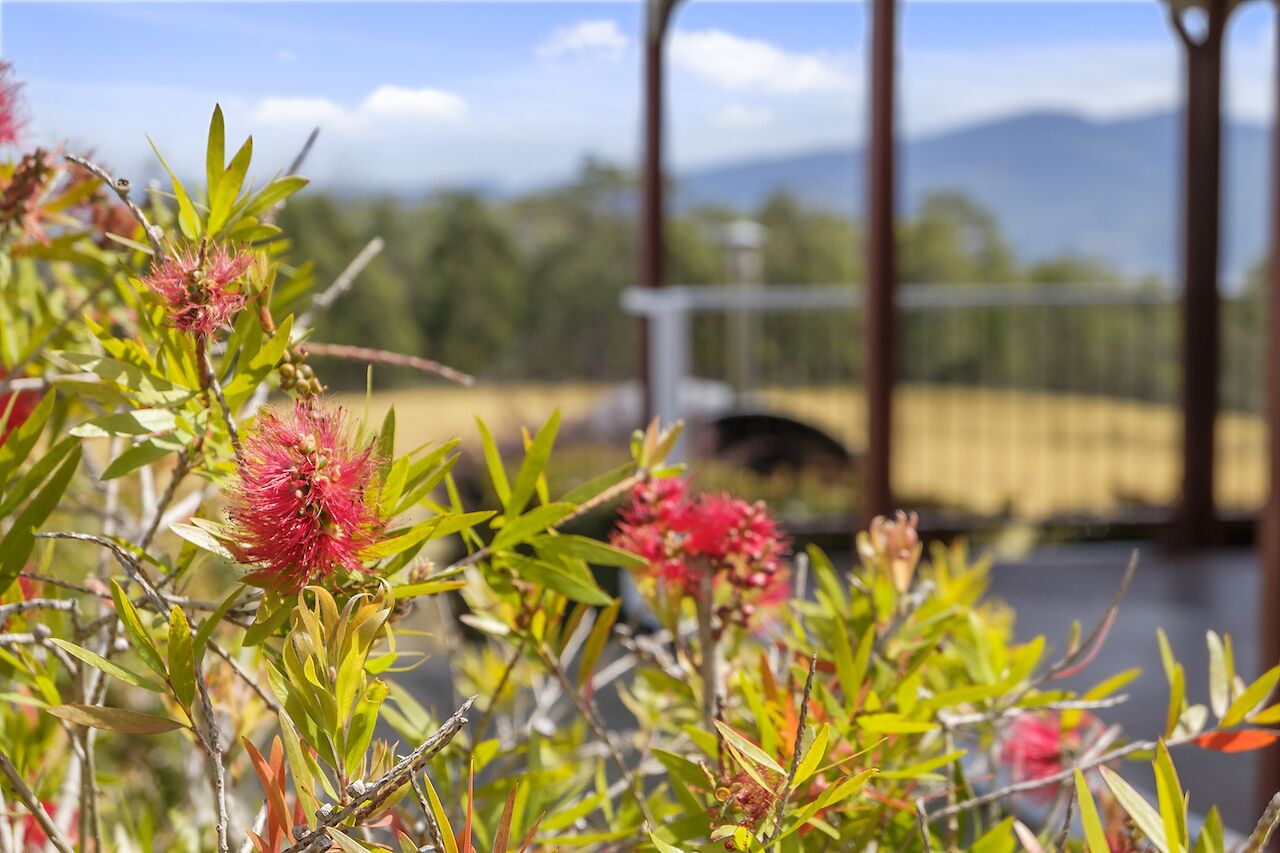 Manfield Country Bruny Island — image 29