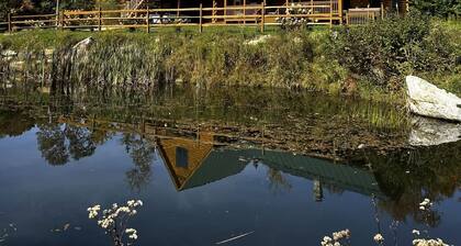 Authentic Log Home with Pico Views and hot tub