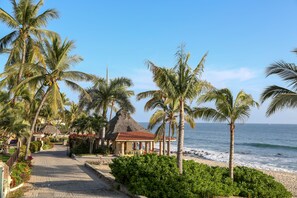 A beachside pathway lined with palm trees leading to a thatched-roof structure.