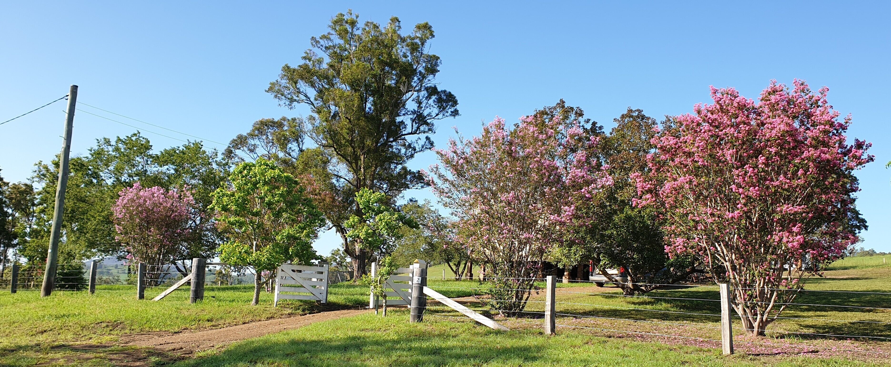 Áreas de la propiedad