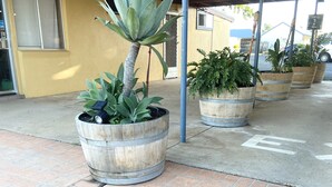Un espace extérieur abrité, agrémenté de plantes en pot, avec un bâtiment en arrière-plan.