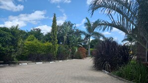 Un sendero pavimentado bordeado de abundante vegetación y palmeras.